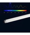 Ersatzröhre für Insektenlampe - 10W, T8, UV-Licht, 33,1 cm