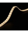 LEDlife 22W/m LED-Streifen - 5m, Wall Washer IP68, 24V, 48 LEDs pro Meter