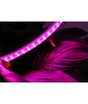 5 m wasserdichter LED-Wachstumsstreifen - 230V, IP67, 180 LEDs, 10W pro Meter