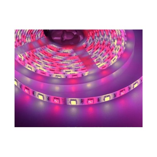 5m 10,8W/m RGB+WW LED-Streifen - 60 LEDs pro Meter