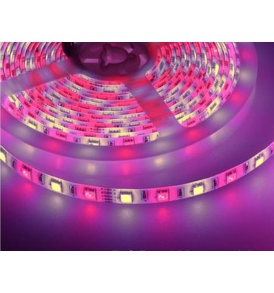 5m 10,8W/m RGB+WW LED-Streifen - 60 LEDs pro Meter