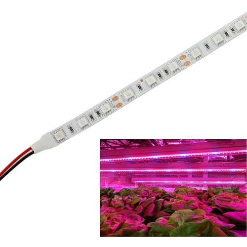 9,6W/m spritzwassergeschützte Wachstums-LED-Leiste - 5m, 60 LEDs pro Meter, IP65
