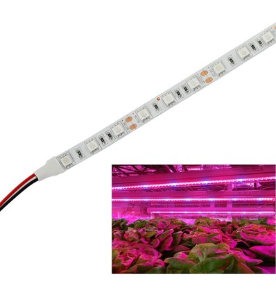 9,6W/m spritzwassergeschützte Wachstums-LED-Leiste - 5m, 60 LEDs pro Meter, IP65