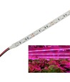 9,6W/m spritzwassergeschützte Wachstums-LED-Leiste - 5m, 60 LEDs pro Meter, IP65