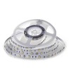 5m 4,8W/m LED-Streifen - IP20, 30 LEDs pro Meter