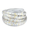 5m 4,8W/m spritzwassergeschützter LED-Streifen - IP65, 30 LEDs pro Meter
