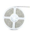 5m 4,8W/m spritzwassergeschützter LED-Streifen - IP65, 30 LEDs pro Meter