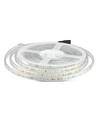 5m 9W/m spritzwassergeschützter LED-Streifen - 24V DC, IP65, 60 LEDs pro Meter