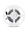 5m 8W/m LED-Streifen - 12V DC, 120 LEDs pro Meter, 8mm breit