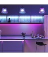5m 7W/m RGB LED-Streifen - 12V DC, IP20, 60 LEDs pro Meter
