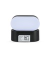 6W LED Wandleuchte - IP65 Außenbereich, oval, 350 Grad drehbar, schwarz, inkl. Leuchtmittel