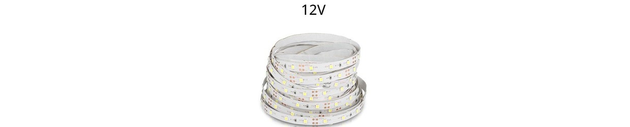 Einfarbige LED Streifen 12V