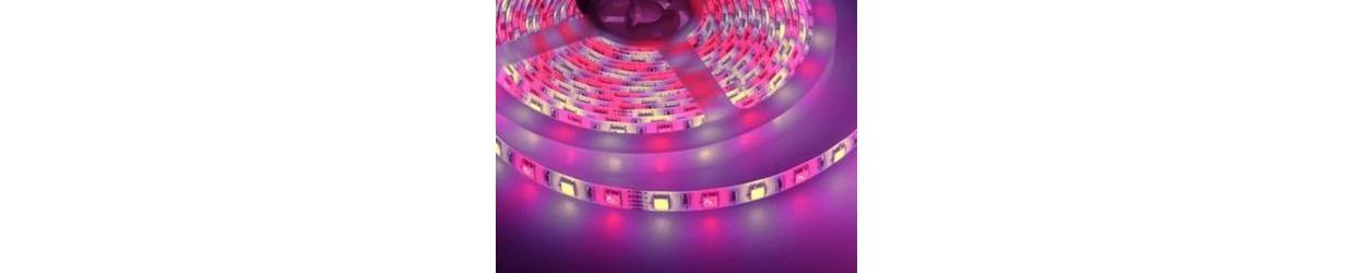 RGB+W LED Streifen