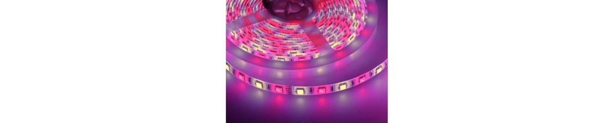 RGB+W LED Streifen 12V