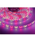 RGB+W LED Streifen 12V