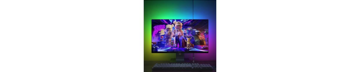 TV & Monitor