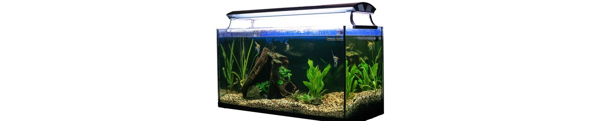 Aquariumbeleuchtung
