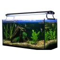 Aquariumbeleuchtung