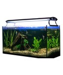 Aquariumbeleuchtung