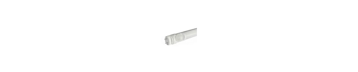 T8 LED Röhren mit Sensor