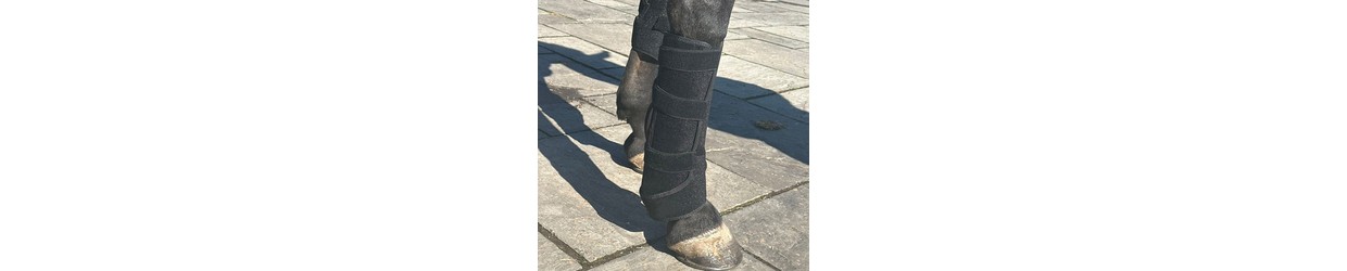 Rotlichttherapie für Tiere